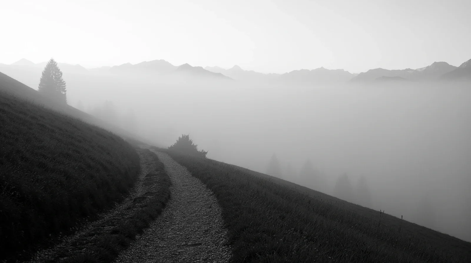 Neblige Berglandschaft
